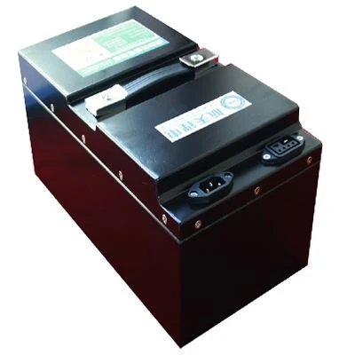 64V 25AH E - বাইক লাইফপো 4 ব্যাটারি প্যাক